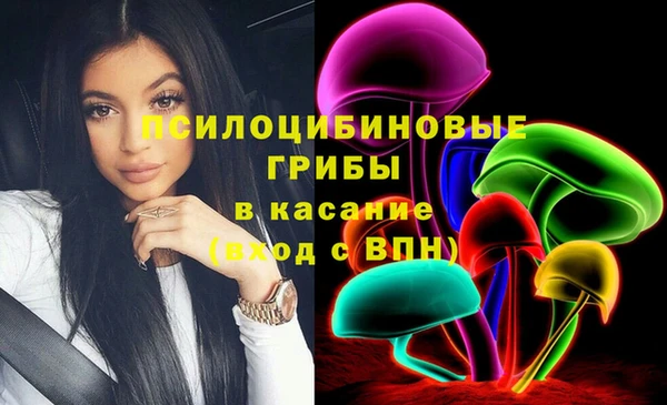 мяу мяу мука Алзамай