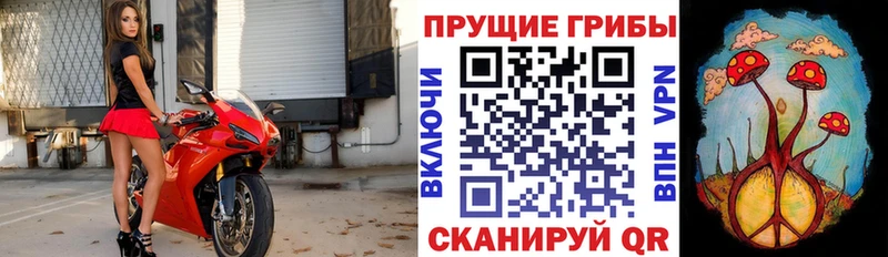 сайты даркнета формула  ОМГ ОМГ зеркало  Псилоцибиновые грибы Psilocybine cubensis  Канск  продажа наркотиков 
